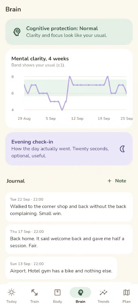 Still Here: brain and journal (demo data)